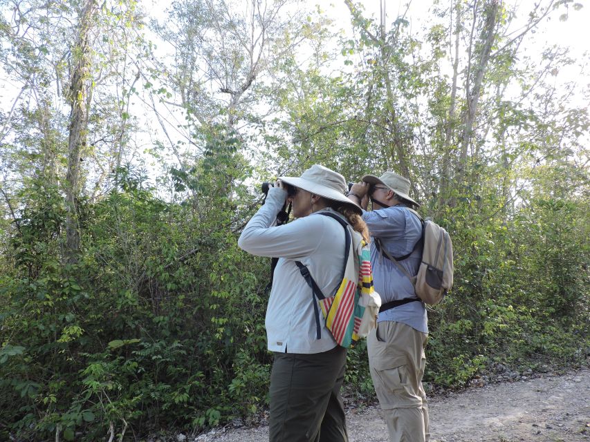 Cancún: Guided Birdwatching Hike - Included value: guide, transport, entrance fees, and the morning basics