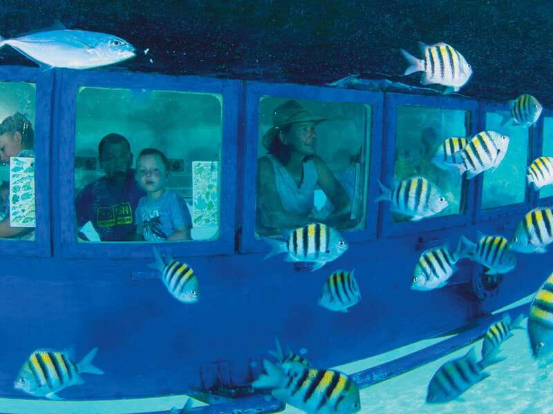 Cancún: Hop-on Hop-off Bus Tour with Submarine Trip - Why This Cancun Hop-On Hop-Off + Submarine Combo Works