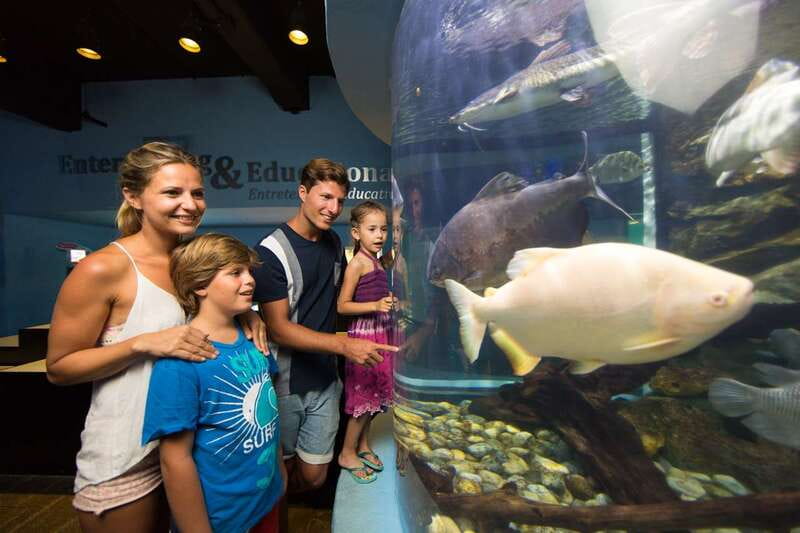 Cancún: Interactive Aquarium Admission - Key takeaways before you go