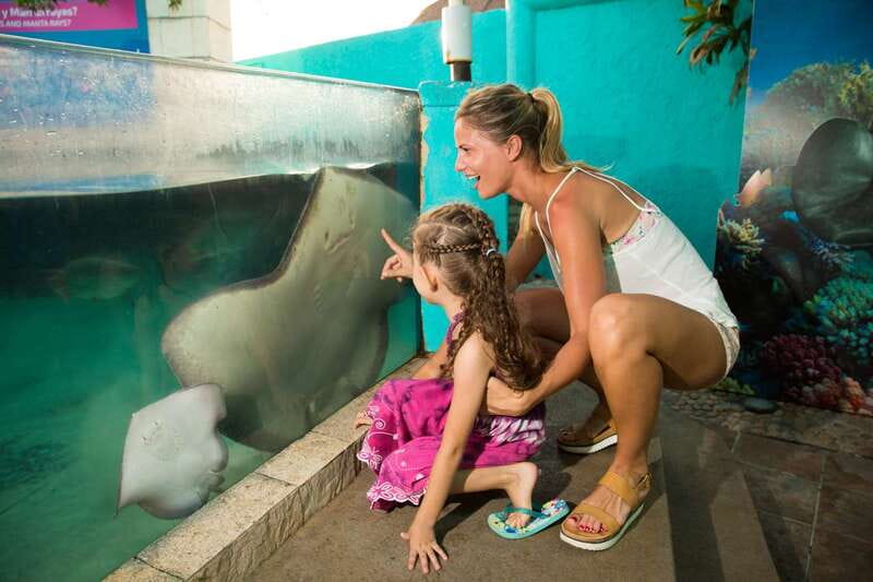 Cancún: Interactive Aquarium Admission - Cancún Aquarium Value: What $17 Buys You in Real Time