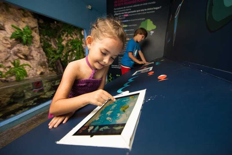 Cancún: Interactive Aquarium Admission - Touch Tanks: Rays, Starfish, and Sea Urchins