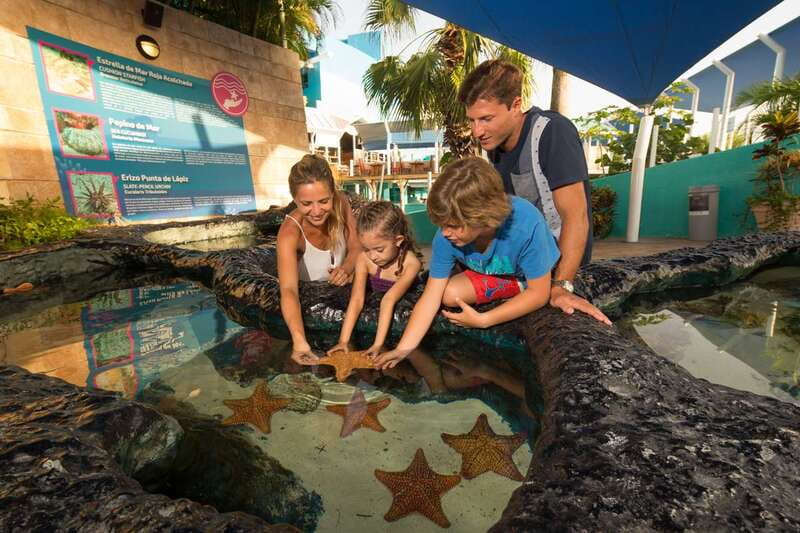 Cancún: Interactive Aquarium Admission - Beyond Fish: Corals, Anemones, and 140+ Species