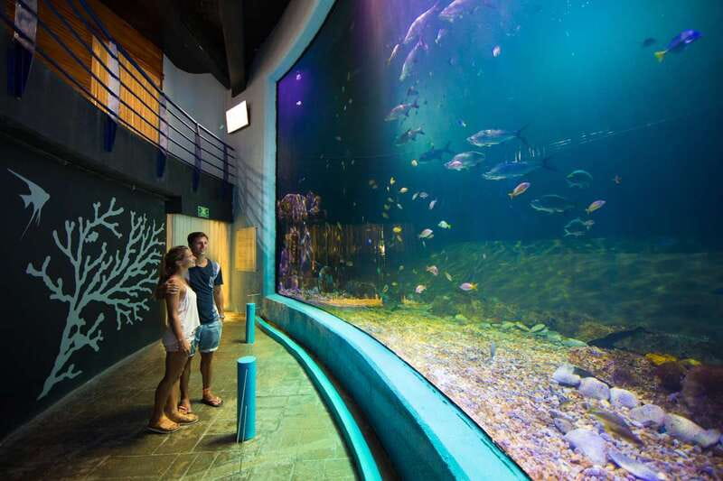 Cancún: Interactive Aquarium Admission - Axolotl Exhibit and the iPad Zone: Small Extras That Add Up