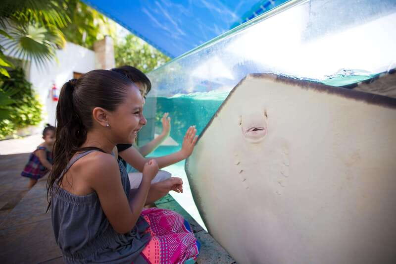 Cancún Interactive Aquarium Admission + Dolphin Presentation - Entering Plaza La Isla and finding the aquarium fast