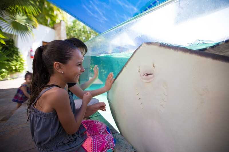Cancún Interactive Aquarium Admission + Dolphin Presentation - Axolotl Exhibit and the iPad zone for a slower break