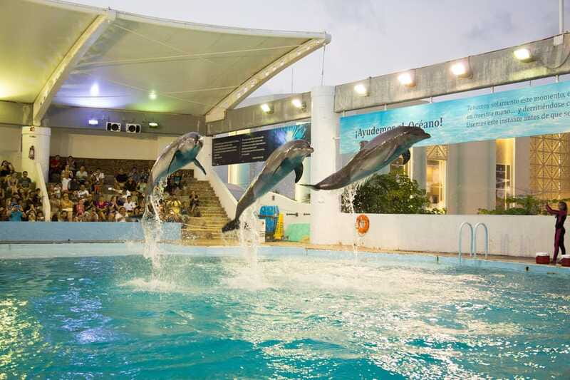 Cancún Interactive Aquarium Admission + Dolphin Presentation - Price and value at about $26 for a full-day admission