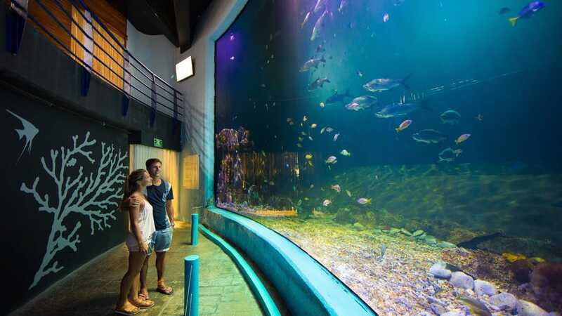 Cancún Interactive Aquarium Admission + Dolphin Presentation - Who should book this Cancún aquarium + dolphin combo?