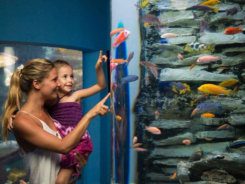 Cancún Interactive Aquarium Admission + Dolphin Presentation - Should you book this tour?