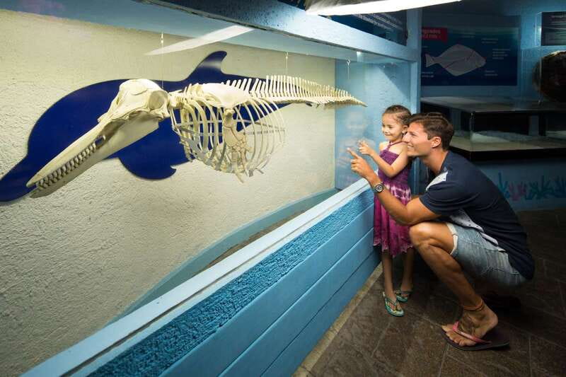 Cancún: Interactive Aquarium Admission - Where to Find It in Plaza La Isla (and Why That Helps)