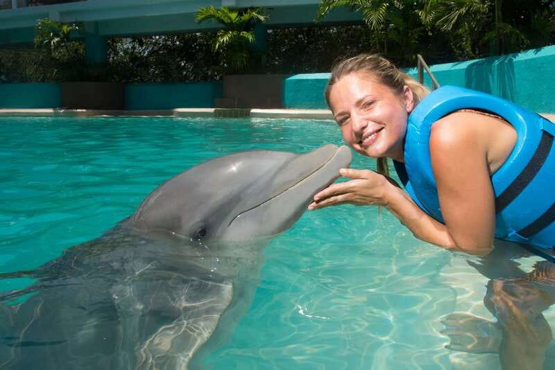 Cancun: Interactive Aquarium - Swim with Dolphins Splash - Key things to know before you book