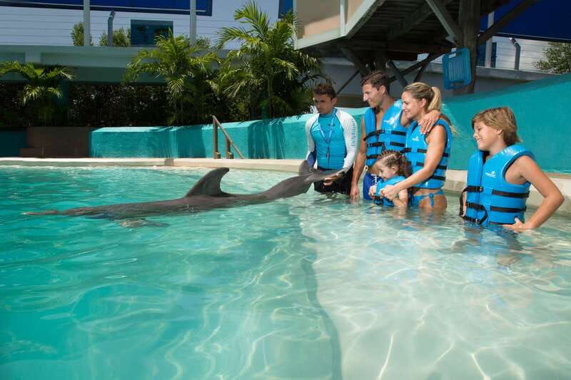Cancun: Interactive Aquarium - Swim with Dolphins Splash - Plaza La Isla check-in: easy to find, quick to start