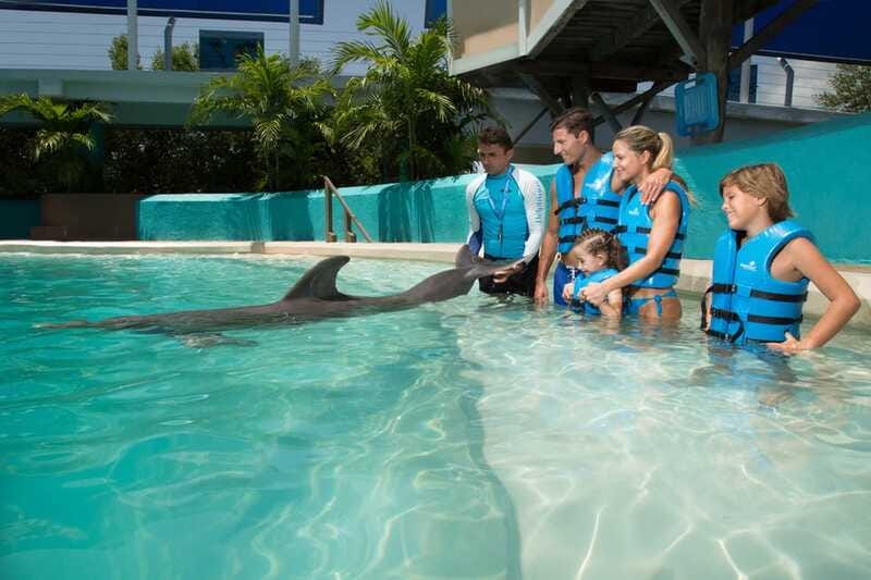 Cancun: Interactive Aquarium - Swim with Dolphins Splash - Who this is best for (and who might rethink it)