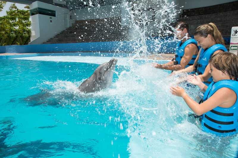 Cancun: Interactive Aquarium - Swim with Dolphins Splash - A balanced take on the short timeline