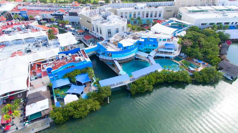 Cancun: Interactive Aquarium - Swim with Dolphins Splash - Aquarium admission and the dolphin presentation setup