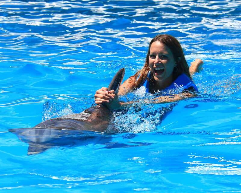 Cancun: Interactive Aquarium Ticket and Swim with Dolphins - The Aquarium Admission Plus Dolphin Presentation: More Than Just the Water