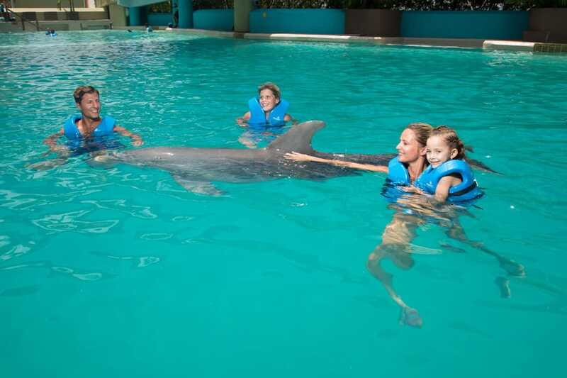 Cancun: Interactive Aquarium Ticket and Swim with Dolphins - Phone-Free Dolphin Habitat Rules (and How to Plan for Photos)