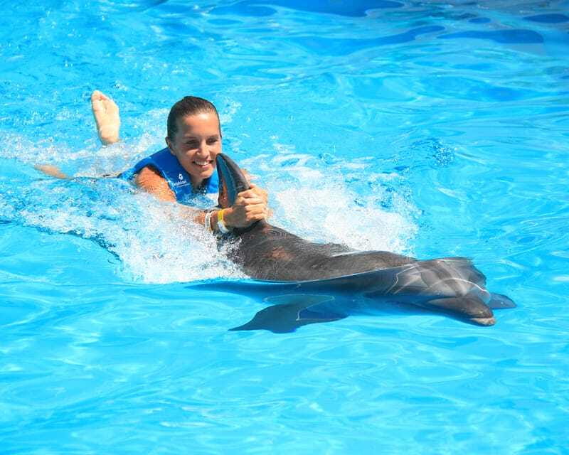Cancun: Interactive Aquarium Ticket and Swim with Dolphins - Delphinus Dolphins Staff Flow and the Small-Group Advantage