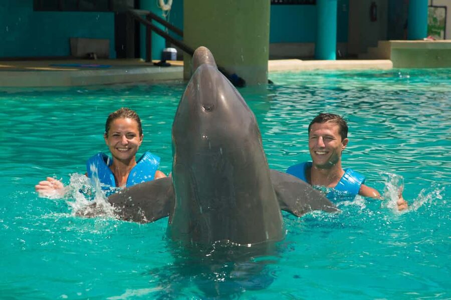 Cancun: Interactive Aquarium Ticket and Swim with Dolphins - What Happens During the 45-Minute Session (and the 30 Minutes in Water)