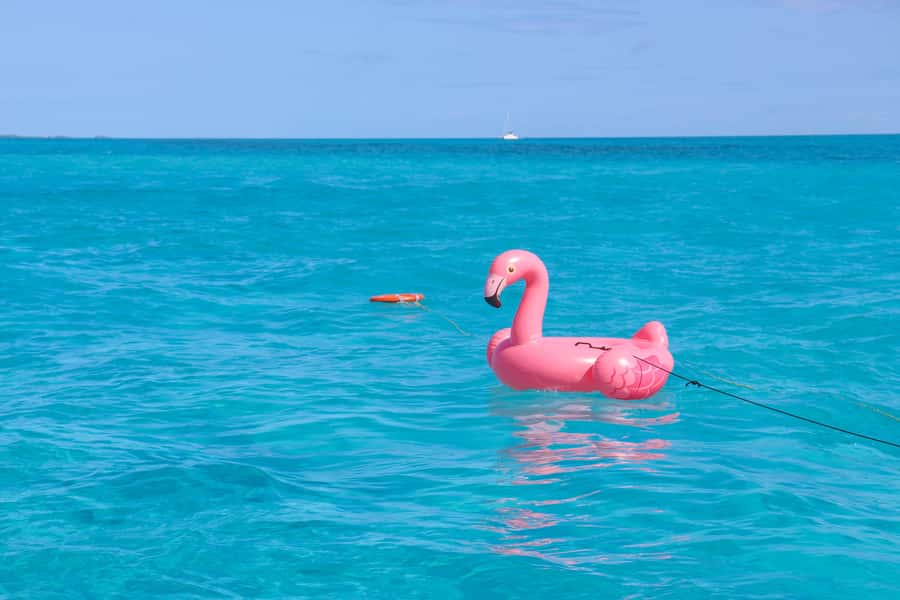 Cancun: Isla Mujeres Full Day Dancer Cruise - Isla Mujeres Free Time: What You’ll Do With Two Hours