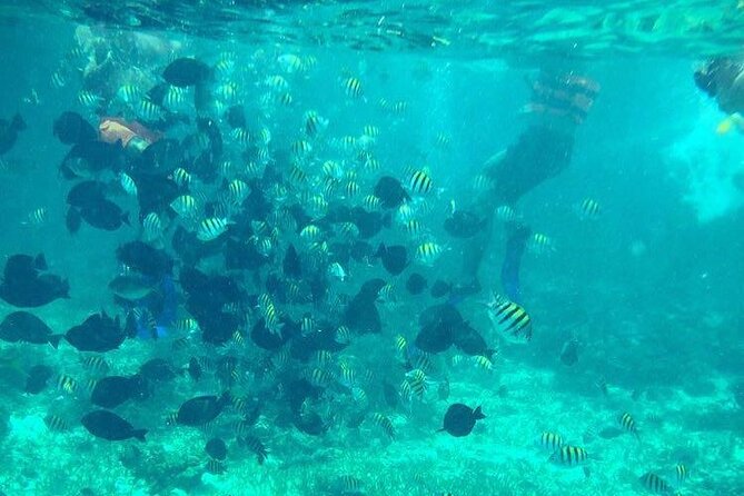 Cancun Jetski and Snorkel Adventure - Getting oriented at Marina del Rey (km 15.6)