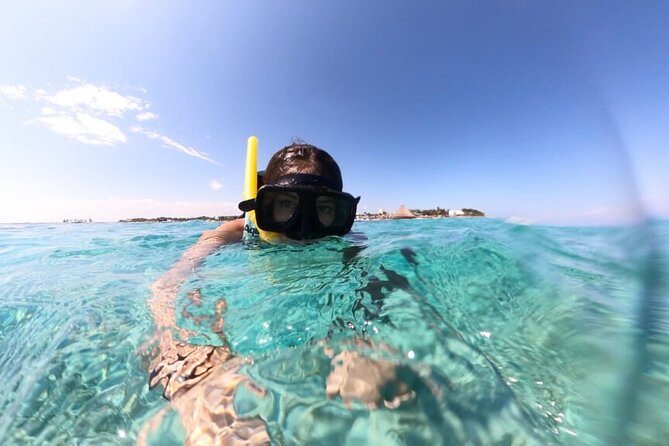 Cancun Jungle Tour with Speedboat and Snorkeling - Nichupté Lagoon: what a guided speedboat loop is really like