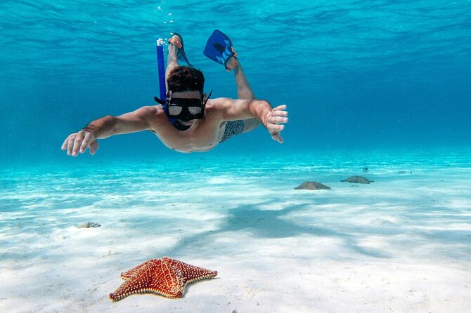 Cancun Jungle Tour with Speedboat and Snorkeling - Snorkeling at the Cancun Reef: short session, better results with the right mindset