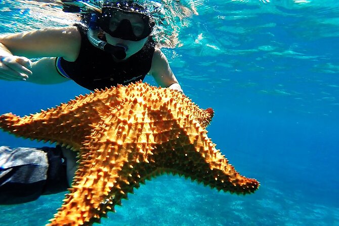 Cancun Jungle Tour with Speedboat and Snorkeling - Included value vs. the on-site cost reality (dock fees and extras)