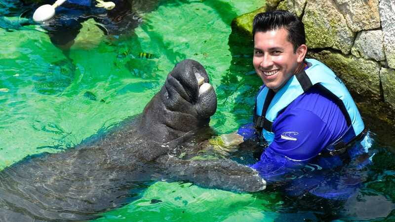 Cancún: Manatee Encounter on Isla Mujeres with Buffet Lunch - Pools, lounge chairs, lockers, and showers: why the included extras matter