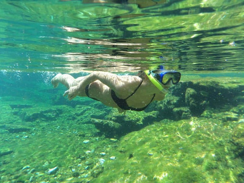 Cancun: Marine Turtle Observation in Akumal - Price and value: is $135 worth it?