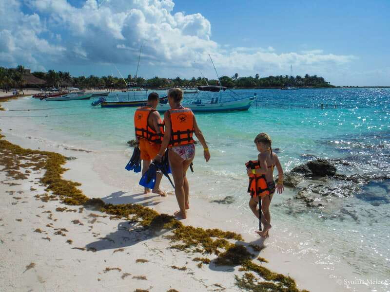 Cancun: Marine Turtle Observation in Akumal - Who this tour suits best (and who should skip it)