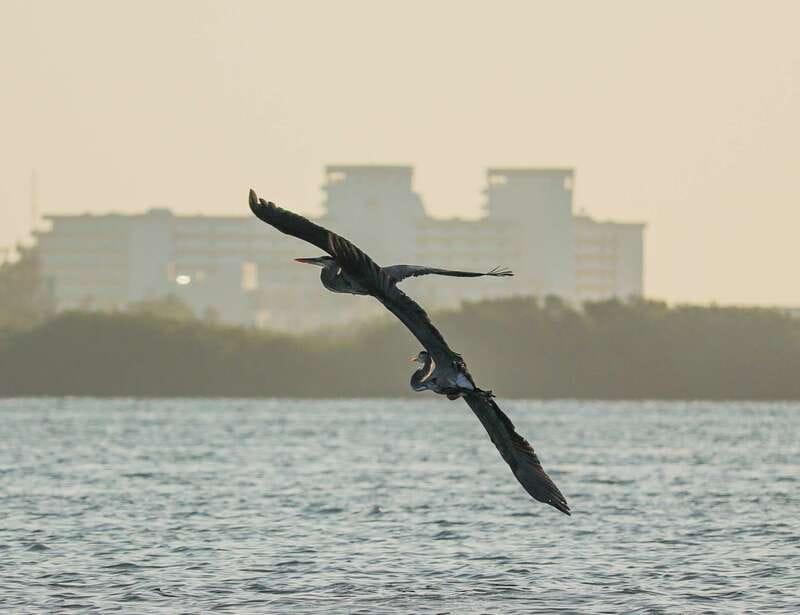 Cancun: Morning Kayak Adventure - Bottom Line: Should You Book This Sunrise Kayak?