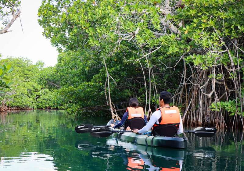 Cancun: Morning Kayak Adventure - Small Group Size, Photos, and the Guide Factor