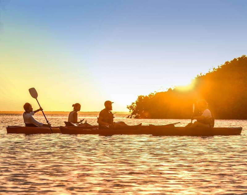 Cancún: Morning or Sunset Kayak Adventure in Nichupte Lagoon - Nichupté Lagoon and the mangrove world you’ll paddle through