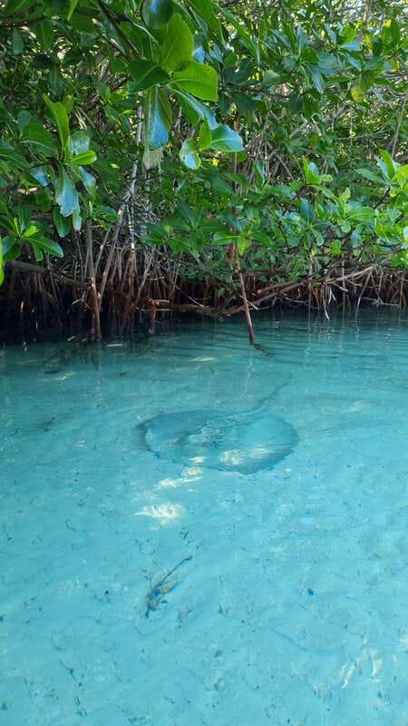 Cancún: Morning or Sunset Kayak Adventure in Nichupte Lagoon - Gear and the quick prep that keeps it smooth