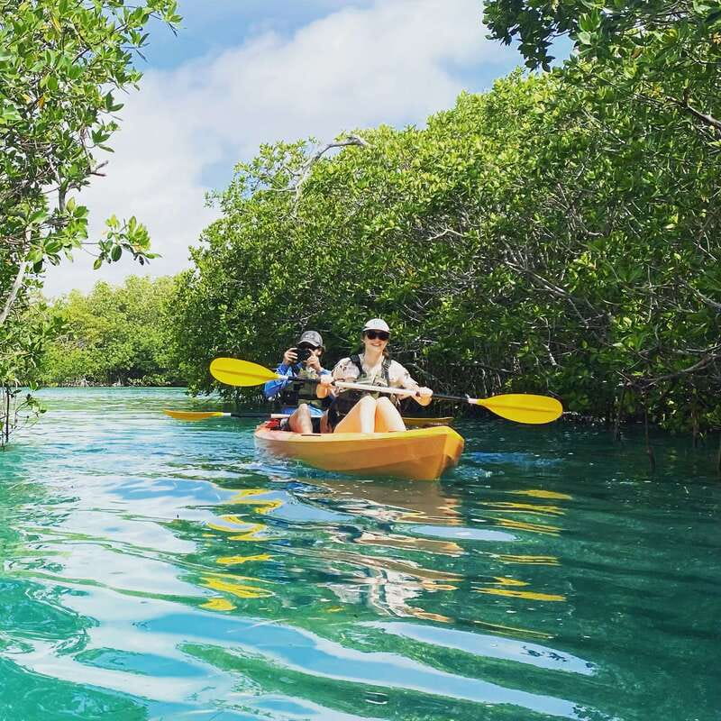 Cancún: Morning or Sunset Kayak Adventure in Nichupte Lagoon - Kayak time: what happens on the water (stop by stop)
