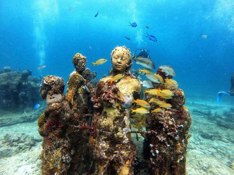 Cancun: Musa Underwater Museum & Reef Discover Scuba Diving - Aquafun Marina schedule: what the timing actually feels like