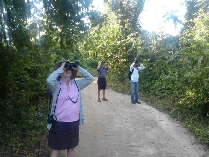 Cancun: Private Birdwatching Tour - Should You Book This Private Birdwatching in Cancun?