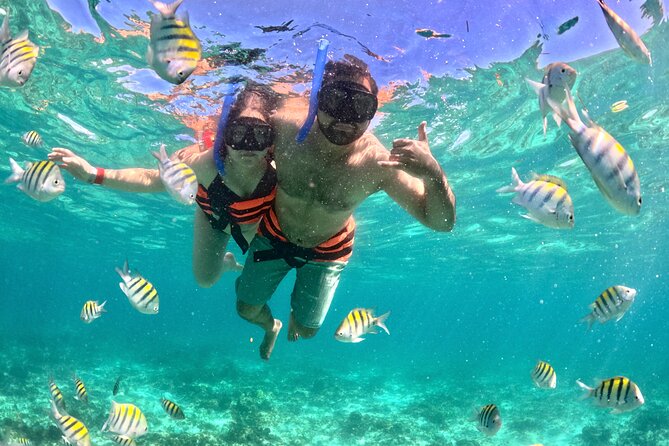 Cancun Private Catamaran Cruise– Open Bar & Snorkeling Experience - Who Should Book This, and Who Might Want a Different Style of Tour