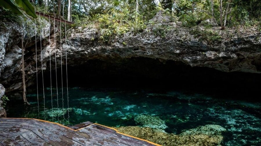 Cancun/Puerto Morelos: Tulum, Cenote & Playa del Carmen Trip - Who this tour fits best (and who should skip it)