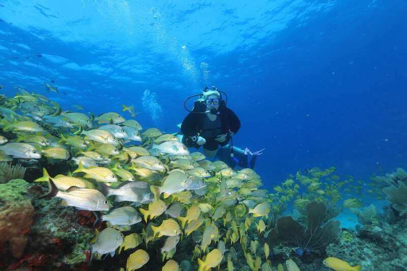 Cancun: Scuba Diving for Beginners, 2 Dives - MUSA Underwater Museum: Why it works for first-timers