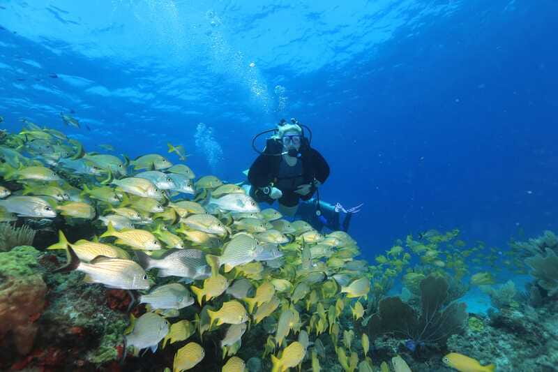 Cancun: Scuba Diving for Beginners, 2 Dives - What to bring (and the sunscreen rule that matters)