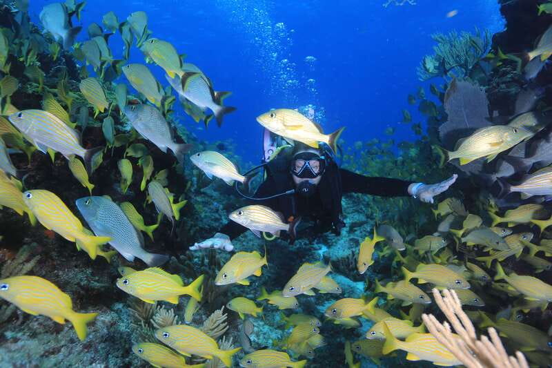 Cancun: Scuba Diving for Certified Divers, 3 options to dive - Included at $161 per person: what you’re really paying for
