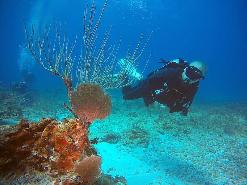 Cancun: Scuba Diving for Certified Divers, 3 options to dive - Option 2: Punta Cancun Reefs (deeper, outside the bay, two different reefs)