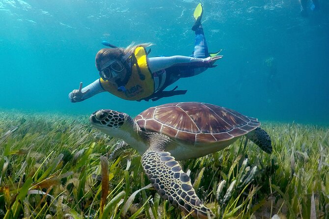 Cancun Snorkeling Adventure: Underwater Museum, Reef & Shipwreck - Snorkeling With Statues, Turtles, and a Shipwreck