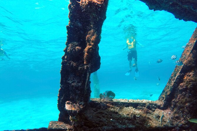 Cancun Snorkeling Adventure: Underwater Museum, Reef & Shipwreck - Gear, Timing, and What to Pack for Flipper Comfort