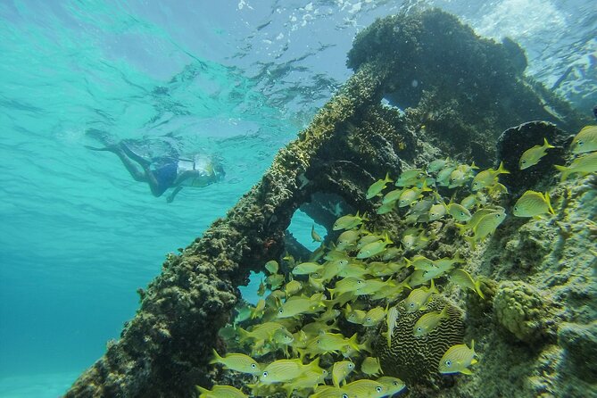 Cancun Snorkeling Adventure: Underwater Museum, Reef & Shipwreck - Photos, Videos, and the Optional Package