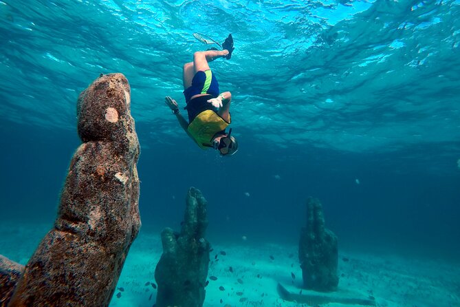 Cancun Snorkeling Adventure: Underwater Museum, Reef & Shipwreck - Price and What You Actually Get for $79
