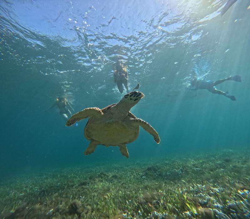 Cancun: Snorkeling Boat Tour with Gear - Stop 1: El Meco coral reef for shallow, warm-water snorkeling