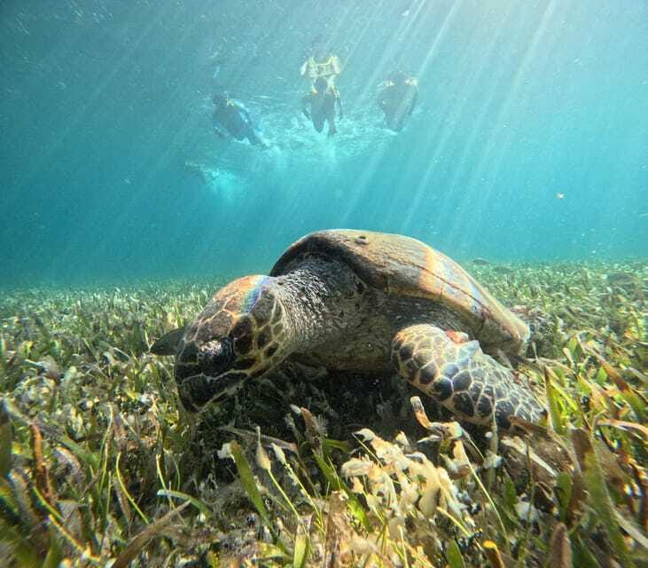 Cancun: Snorkeling Boat Tour with Gear - Stop 5: Underwater cenotes at the sea surface