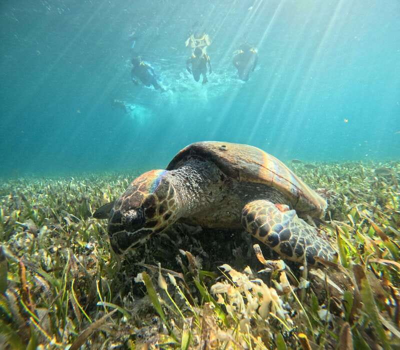 Cancun: Snorkeling Boat Tour with Gear - Gear and the briefing: how the crew sets you up for an easier swim